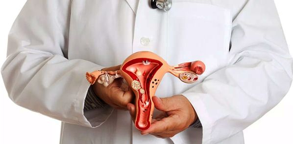 gynecological study